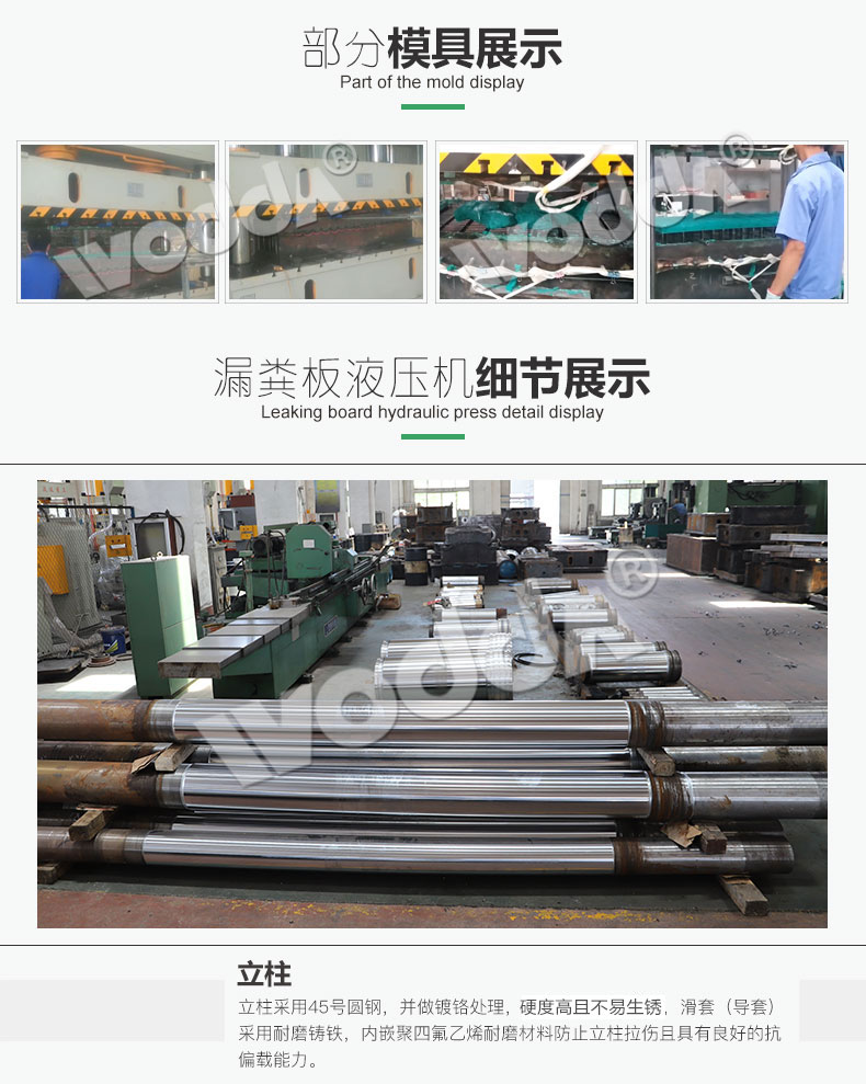 漏糞闆液(ye)壓機模具展(zhan)示